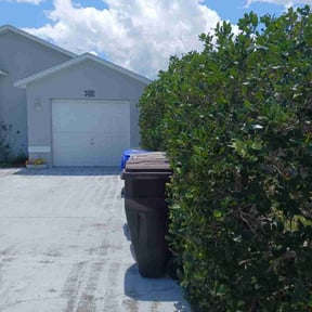 Bush Trimming by Edwards Lawn and Landscaping Service reviewed on August 16, 2025