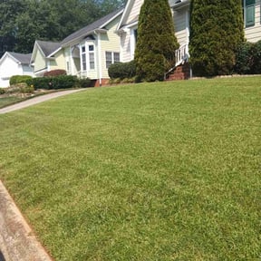 yard service by L&D Lawn Care Inc. reviewed on August 17, 2025
