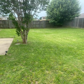 yard service by M&L lawn service care reviewed on August 15, 2025
