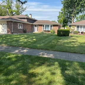 turf maintenance by Elegant Lawn Care LLC reviewed on June 10, 2025