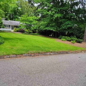 lawn maintenance by B&C Green and Groomed reviewed on August 19, 2025