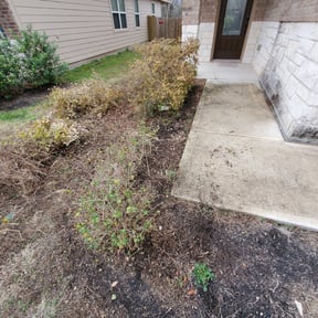 Bush Trimming by Parish Lawn Care & Landscaping reviewed on August 16, 2025