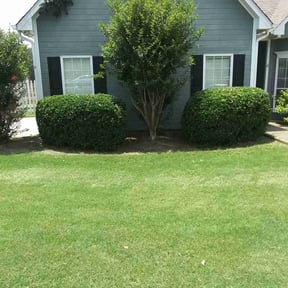 Bush Trimming by Freeman&#039;s Pressure Washing &amp; Lawncare reviewed on November 19, 2025