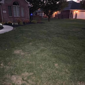 Leaf Removal by ZKZ Landscape &amp; Design reviewed on November 10, 2025