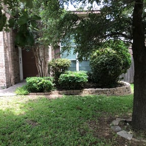 Bush Trimming by Davis Property Maintenance reviewed on March 20, 2024