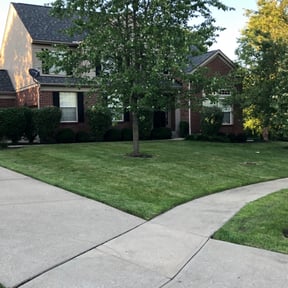 Bush Trimming by AC LAWNCARE reviewed on August 7, 2023