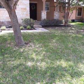 Leaf Removal by Together Family Landscapes reviewed on September 21, 2025