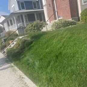 Bush Trimming by Escobar Lawn Care services LLC reviewed on August 17, 2026
