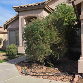 Bush Trimming by Legacy Lawn Services reviewed on February 3, 2026