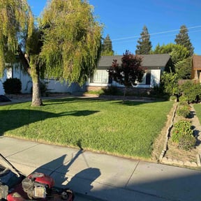 grass maintenance by T's Mow Blow & Go reviewed on June 25, 2025