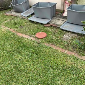 Flower Bed Weeding by Ezlycut landscaping reviewed on November 10, 2025