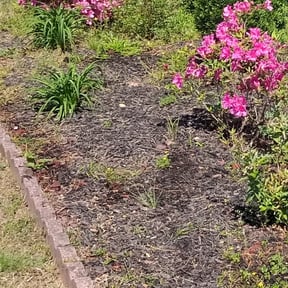 Flower Bed Weeding by AWWsome lawncare and Landscaping llc reviewed on August 16, 2025