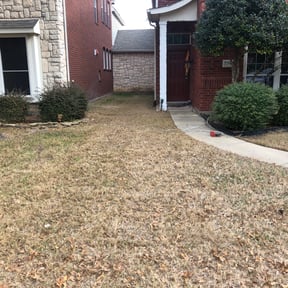 Leaf Removal by Rosa reviewed on October 1, 2025