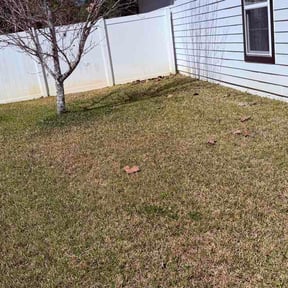 Leaf Removal by Southern lawn care reviewed on August 30, 2026