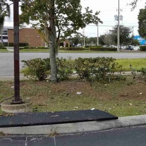Bush Trimming by Hickmon Homes LLC reviewed on August 15, 2025