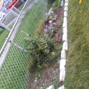 Bush Trimming by Willie Lawn Care and More LLC reviewed on August 20, 2025