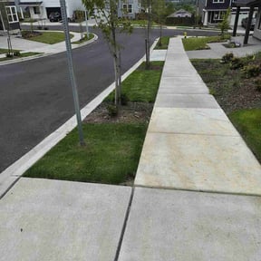 yard service by Vazquez Exterior Maintenance reviewed on August 19, 2025