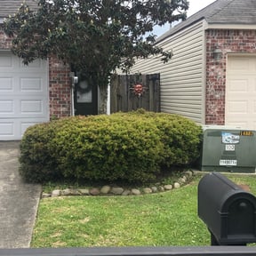 Bush Trimming by Divine Lawn Care reviewed on June 15, 2023