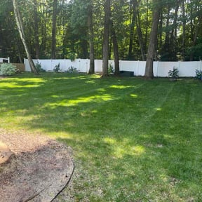 yard care by Tubac-Rivera and Family LLC reviewed on August 21, 2025