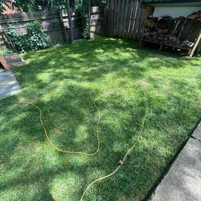 lawn service by BLC and contracting llc reviewed on May 16, 2024