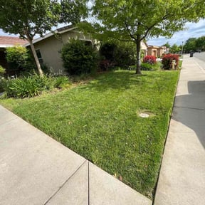 yard service by Diego Mojica Lawn Care reviewed on August 17, 2025