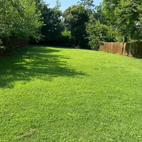 yard care by Paul&#039;s lawn mowing and more reviewed on November 19, 2025