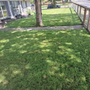 yard maintenance by C&L landscaping reviewed on August 21, 2025