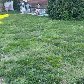 Bush Trimming by ATM reviewed on August 16, 2025