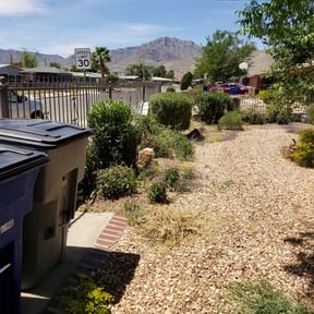 Bush Trimming by Diego Mojica Lawn Care reviewed on August 15, 2025