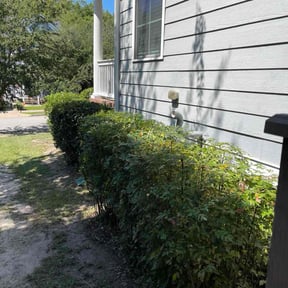 Bush Trimming by Greener side lawn care reviewed on October 18, 2025