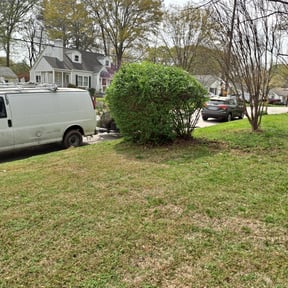 Bush Trimming by SosaLawnCare reviewed on August 19, 2025