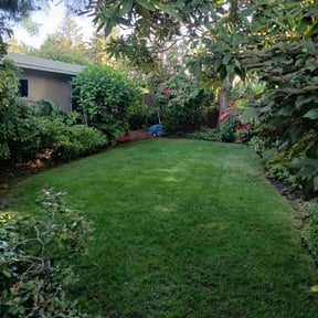 landscaping by Happily Handyman Helpers LLC reviewed on August 18, 2025