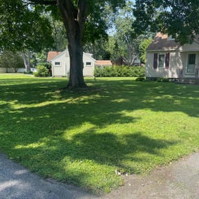 gardening service by Troy&#039;s Lawn Care reviewed on November 24, 2025