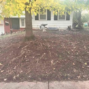 Leaf Removal by Sanctuary Lawn reviewed on October 1, 2025