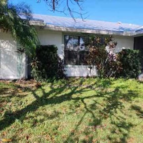 Bush Trimming by J.Rodriguez Tree Trimming & Lawn Care reviewed on August 21, 2025