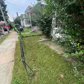 lawn care by Dollar Landscaping Service, LLC reviewed on July 29, 2023