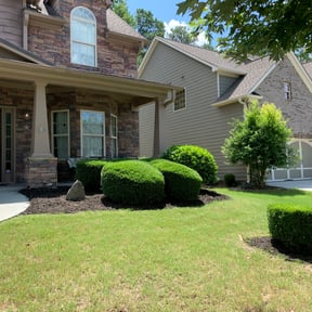 Flower Bed Weeding by Express Home Improvement and Landscaping Solutions LLC reviewed on August 17, 2025