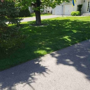 landscape maintenance by HopeScape reviewed on August 16, 2025