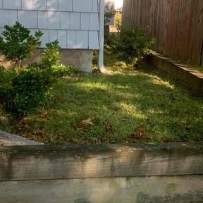 Flower Bed Weeding by JT’s lawn service reviewed on November 5, 2025