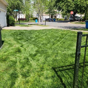 yard care by Paul Norman Services reviewed on November 18, 2025