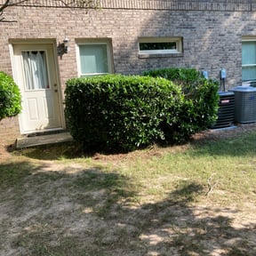 Bush Trimming by Tru Lawn Cuts LLC reviewed on November 21, 2025