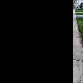 Leaf Removal by Family Gang Lawn reviewed on August 16, 2025