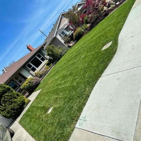 yard work by K&amp;K landscape services inc. reviewed on August 21, 2025