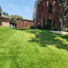 gardening service by Darius Fuller reviewed on November 26, 2025