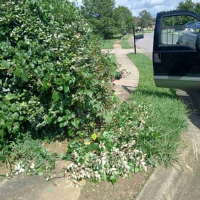 Bush Trimming by Personal Touch Landscaping reviewed on August 20, 2025