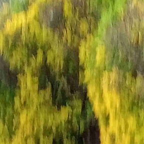 turf maintenance by Right Coice Property Solutions reviewed on August 3, 2025