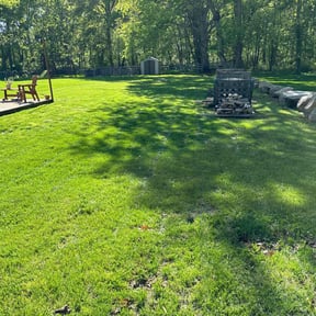 yard maintenance by Roots of the Earth Inc. reviewed on August 19, 2025