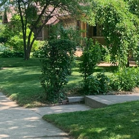 Bush Trimming by Gomez Property  Maintenance reviewed on August 16, 2025