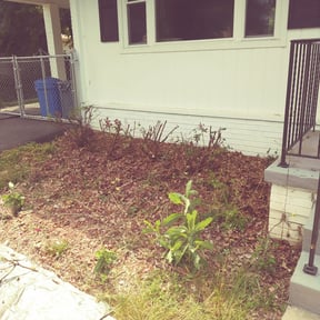 Bush Trimming by Bennett Lawn Maintenance reviewed on August 17, 2025