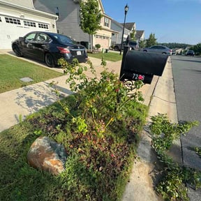 Bush Trimming by U grow &amp; I mow reviewed on August 26, 2026